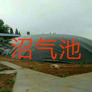 沼气池防渗膜